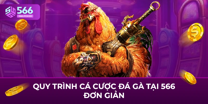 Quy trình cá cược đá gà tại 67 đơn giản
