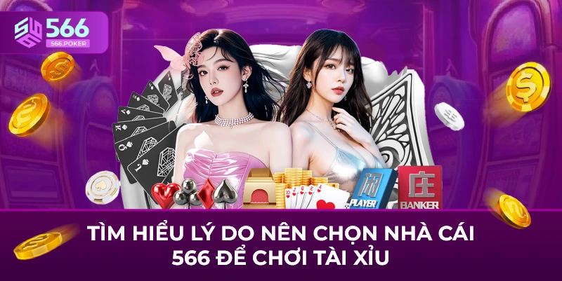 Tìm hiểu lý do nên chọn nhà cái 566 để chơi tài xỉu
